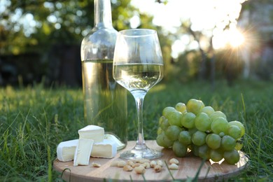 Photo of Delicious white wine, grapes, cheese and nuts on green grass outdoors