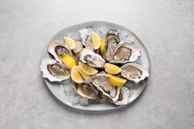 Fresh oysters with lemon and ice on grey table, top view