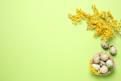 Photo of Easter flat lay composition with mimosa flowers and quail eggs on green background. Space for text