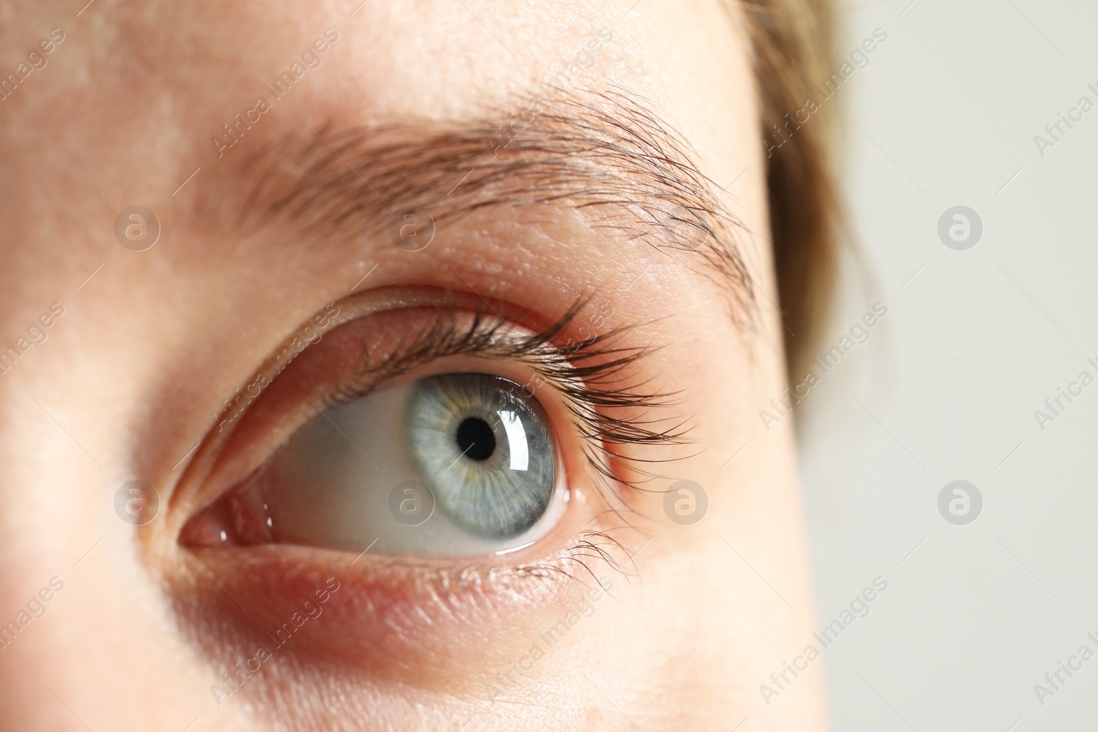 Photo of Macro photo of woman with beautiful eyes on light background