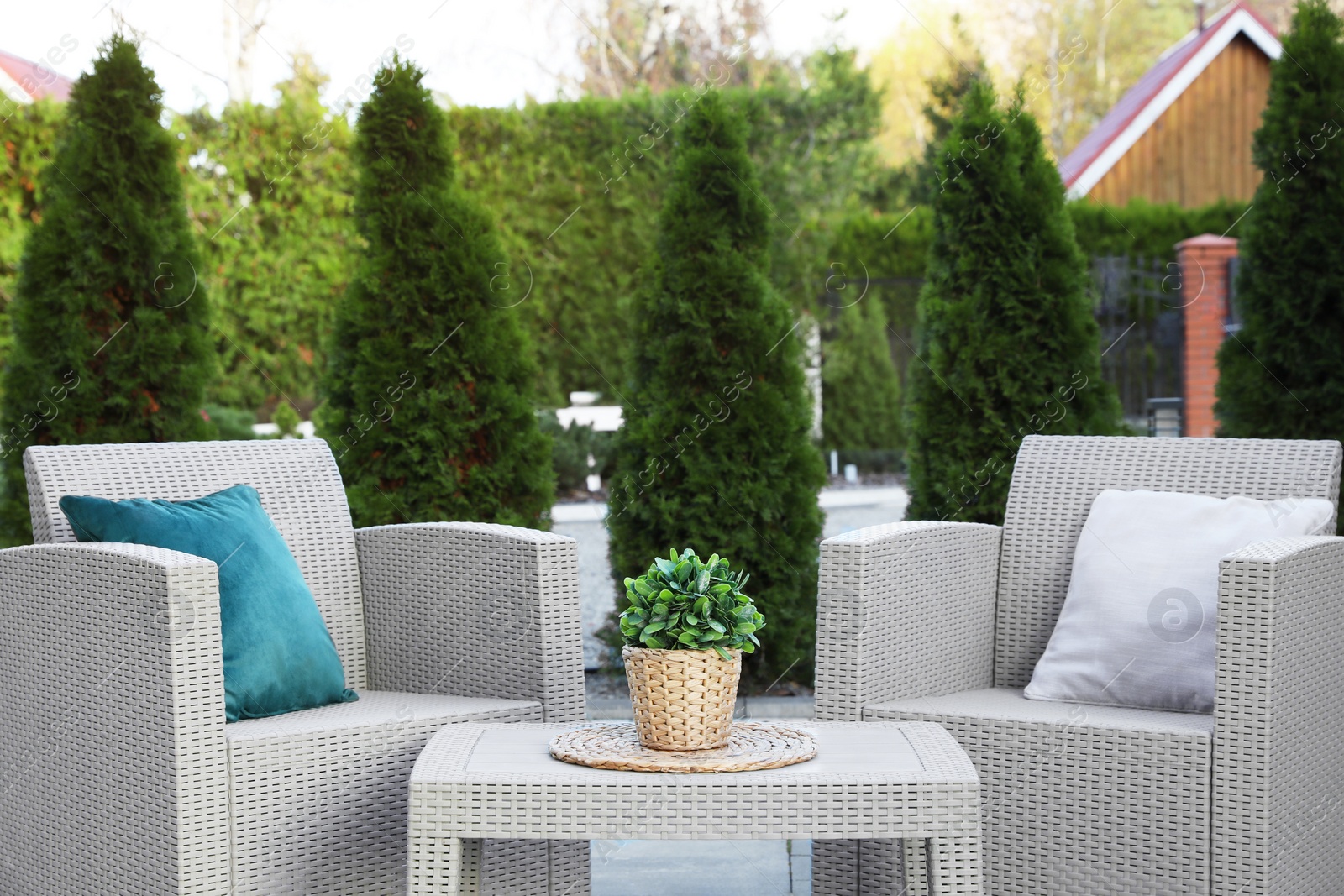 Photo of Beautiful rattan garden furniture, soft pillows and houseplant in backyard