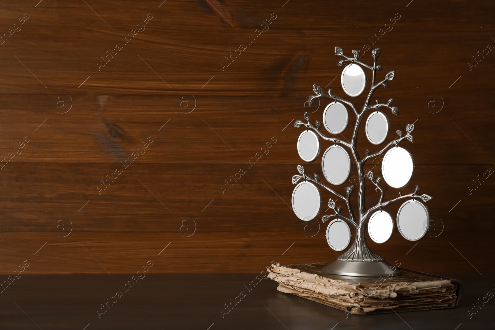 Photo of Family tree photo frame and album on wooden table. Space for text