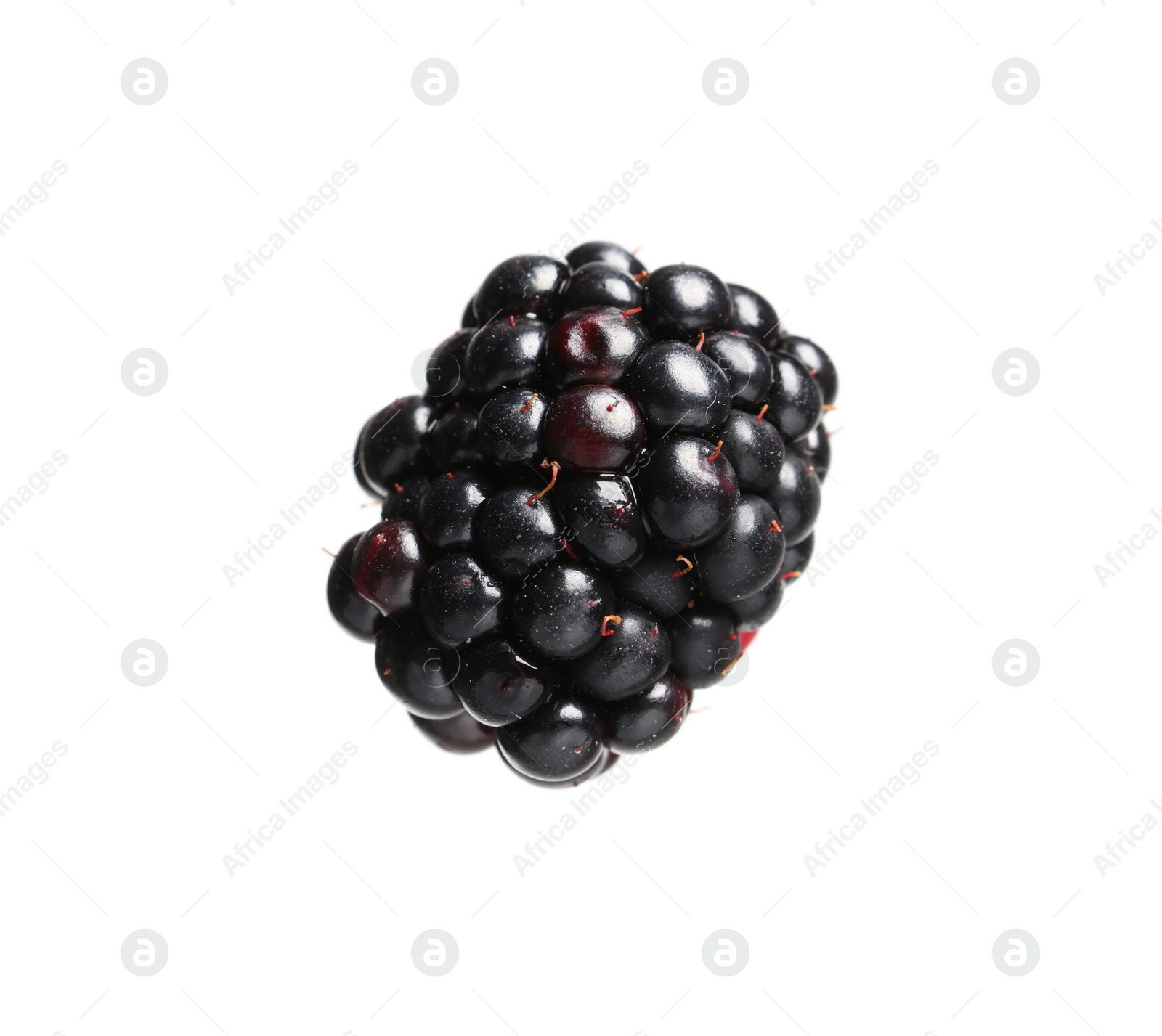 Photo of One tasty ripe blackberry isolated on white