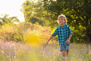 Photo of Cute little boy outdoors, space for text. Child spending time in nature