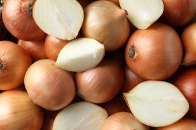 Whole and cut onions as background, top view