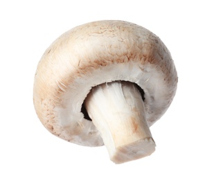 Fresh champignon mushroom isolated on white. Healthy food