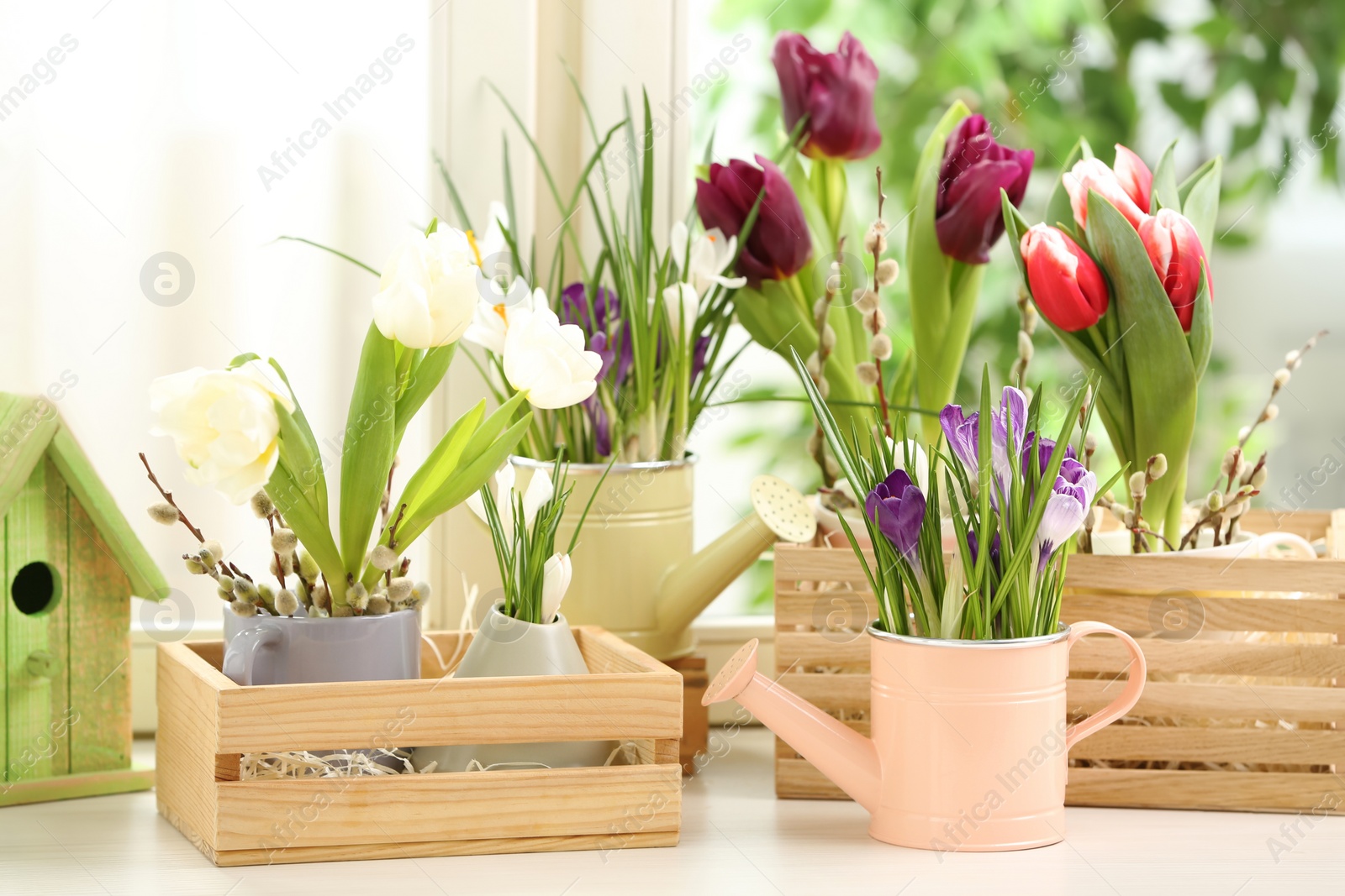 Photo of Different beautiful spring flowers with birdhouse on window sill
