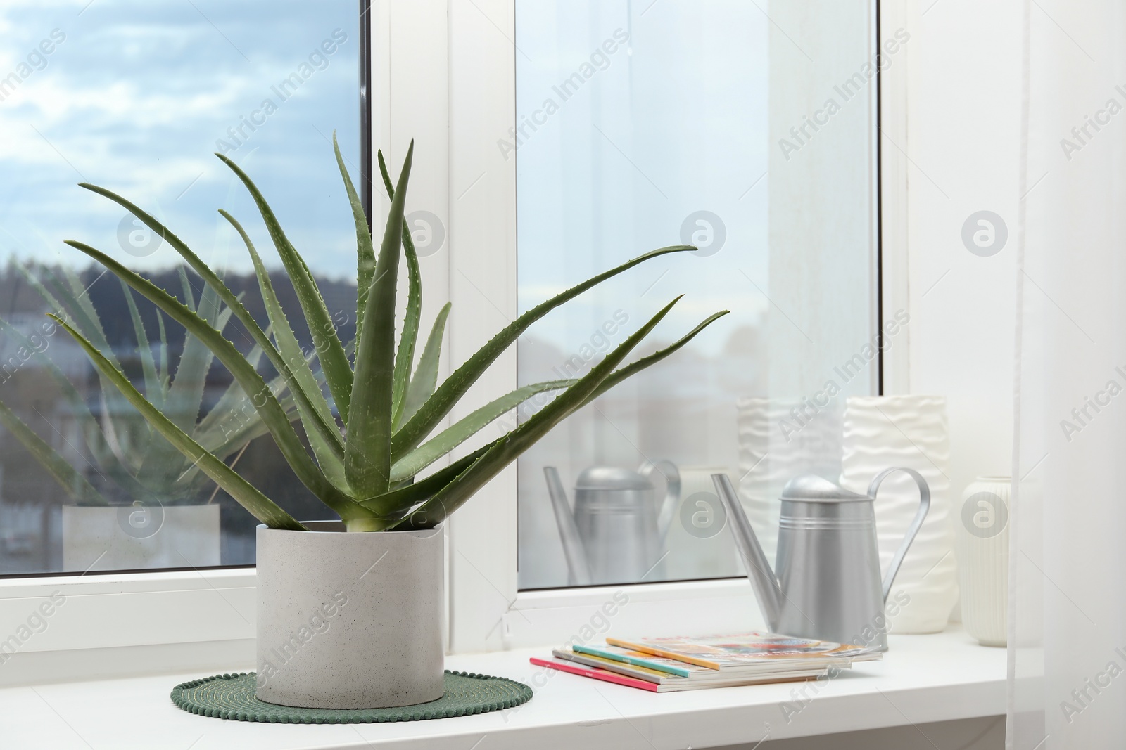 Photo of Beautiful potted aloe vera plant, watering can and magazines on windowsill indoors