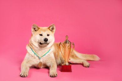 Photo of Adorable Akita Inu dog with champion trophy and medal on pink background. Space for text