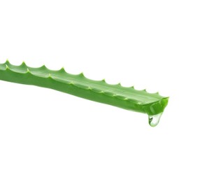 Photo of Leaf of aloe plant with water drop on white background