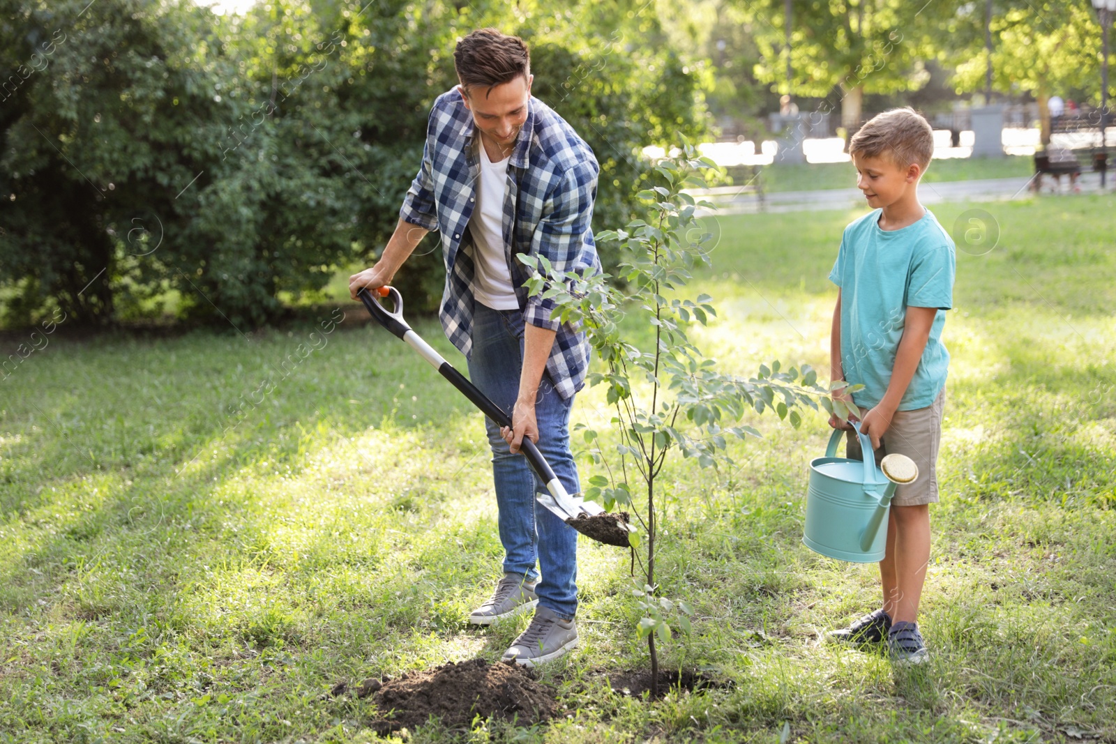 Photo of Dad and son planting tree in park on sunny day