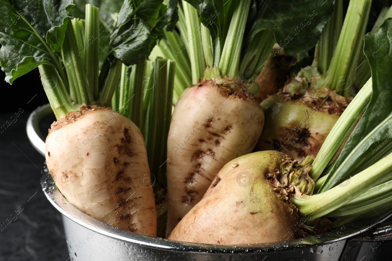 Photo of Colander with fresh sugar beets on black table, closeup