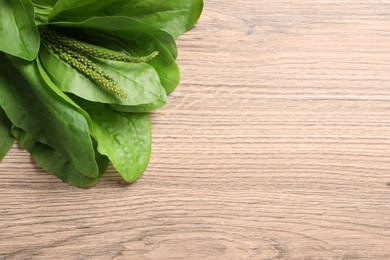 Green broadleaf plantain leaves on wooden table, top view. Space for text