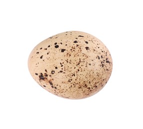 Photo of One speckled quail egg isolated on white, top view