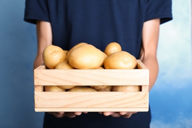 Photo of Person holding wooden crate with fresh organic potatoes on color background