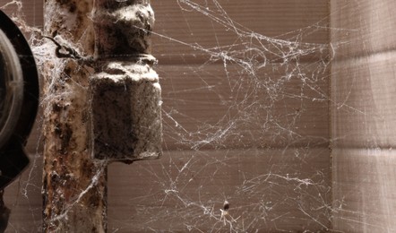 Photo of Cobweb near wall and rusty pipes of water supply indoors