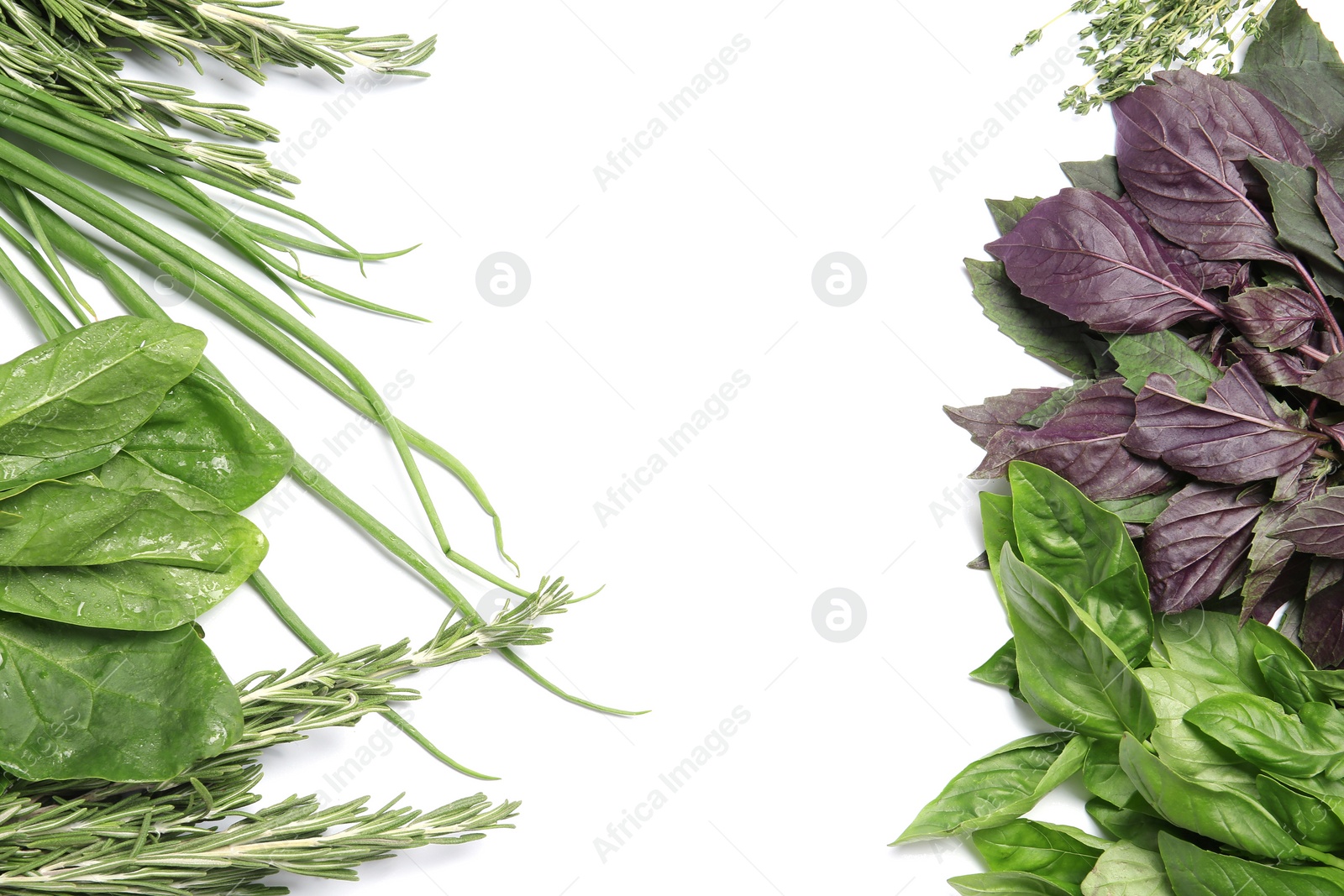 Photo of Rosemary and other aromatic herbs on white background, top view