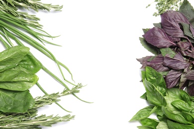 Rosemary and other aromatic herbs on white background, top view