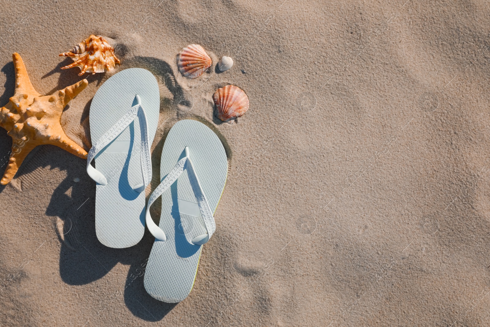 Photo of Stylish flip flops, starfish and sea shells on beach, flat lay. Space for text
