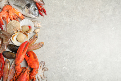 Photo of Fresh fish and different seafood on light grey table, flat lay. Space for text