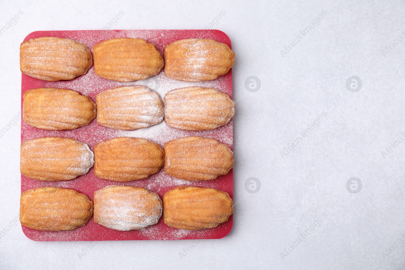 Photo of Delicious madeleine cookies in baking mold on white table, top view. Space for text