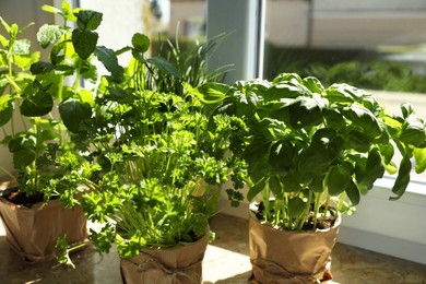 Photo of Different aromatic potted herbs on windowsill indoors