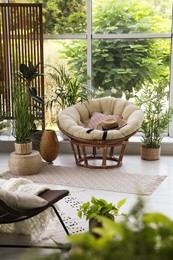 Photo of Indoor terrace interior with soft papasan chair and green plants