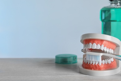 Photo of Educational model of oral cavity and toothbrush on table, space for text. Professional dentist