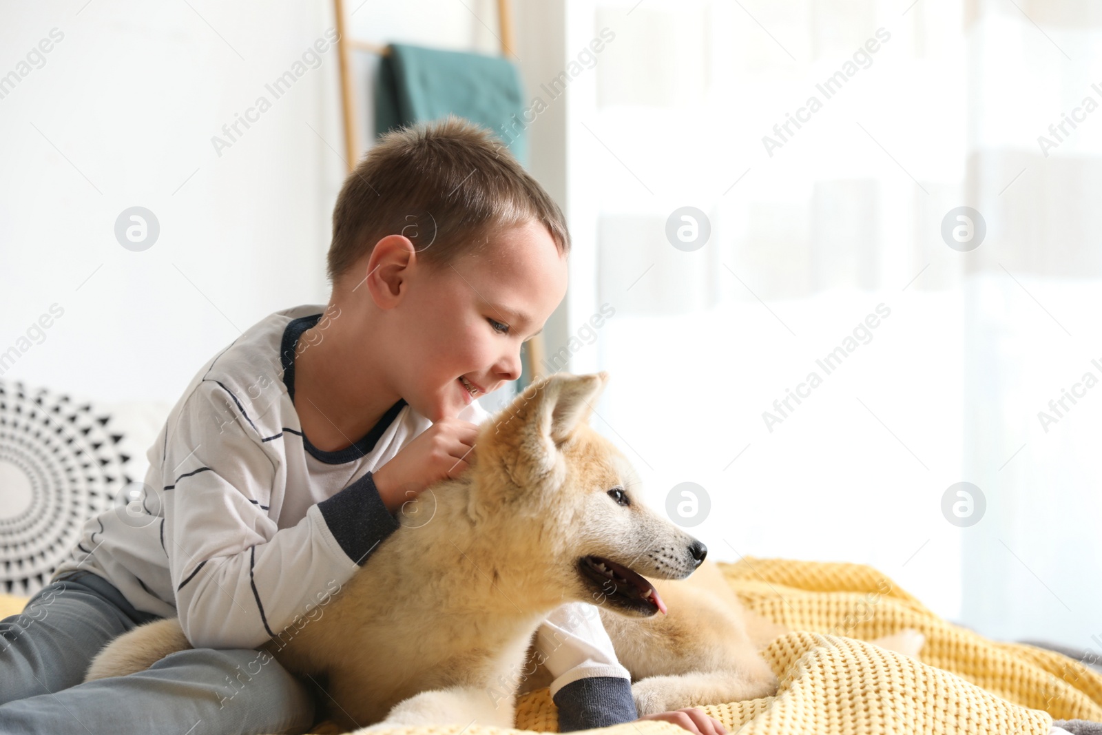 Photo of Happy boy with Akita Inu dog on bed. Little friends