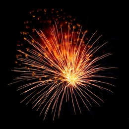 Image of Beautiful bright fireworks lighting up night sky