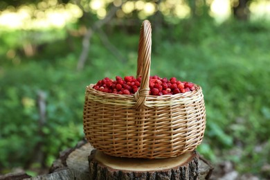 Photo of Basket with delicious wild strawberries on stump in forest