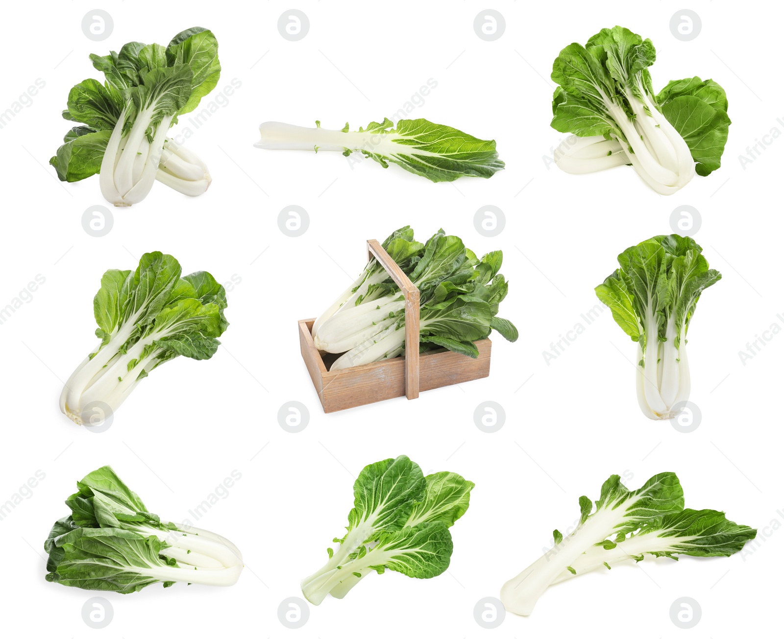 Image of Collage with fresh pak choy cabbages and leaves on white background