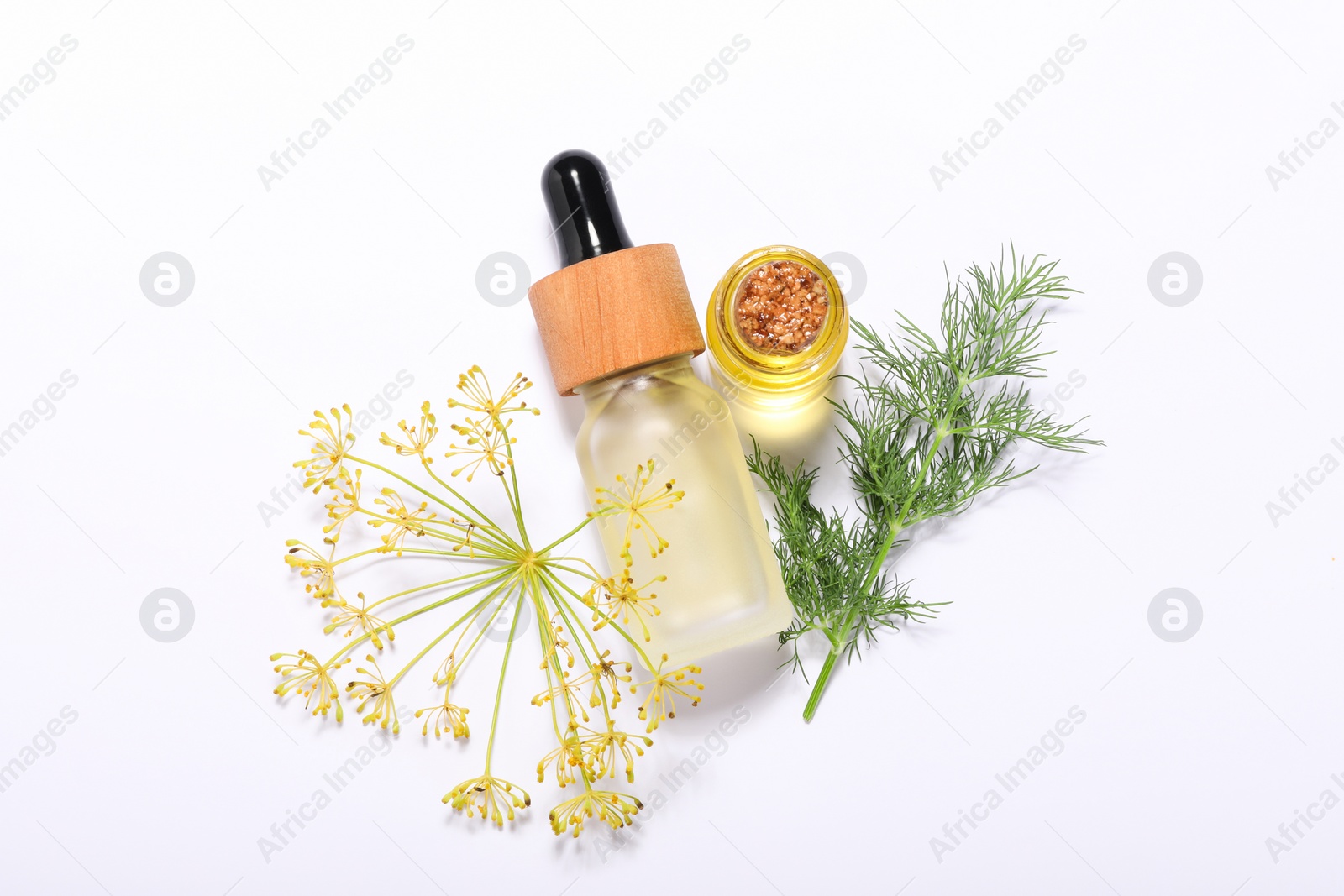 Photo of Bottles of essential oil and fresh dill on white background, flat lay