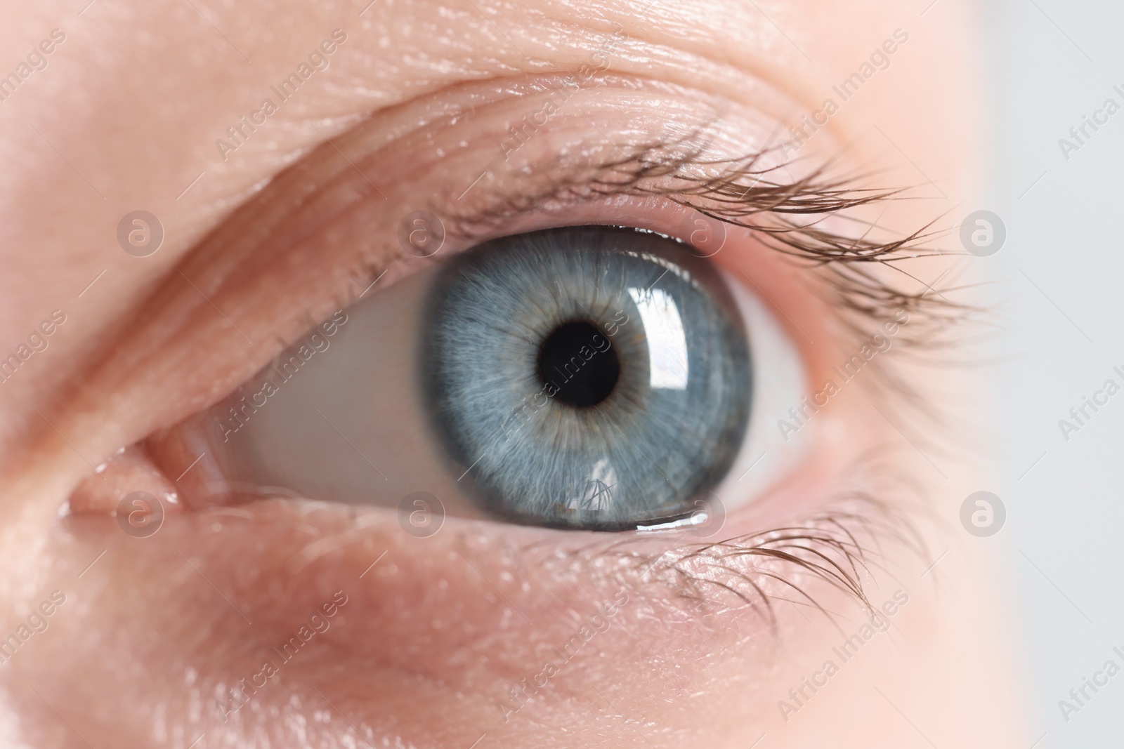 Photo of Macro photo of woman with beautiful eyes