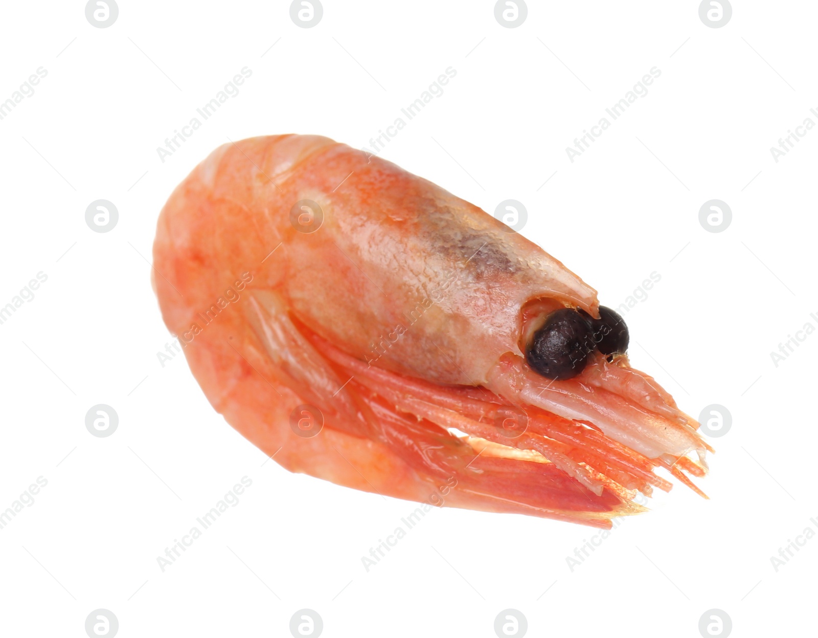 Photo of Raw shrimp on white background. Fresh seafood