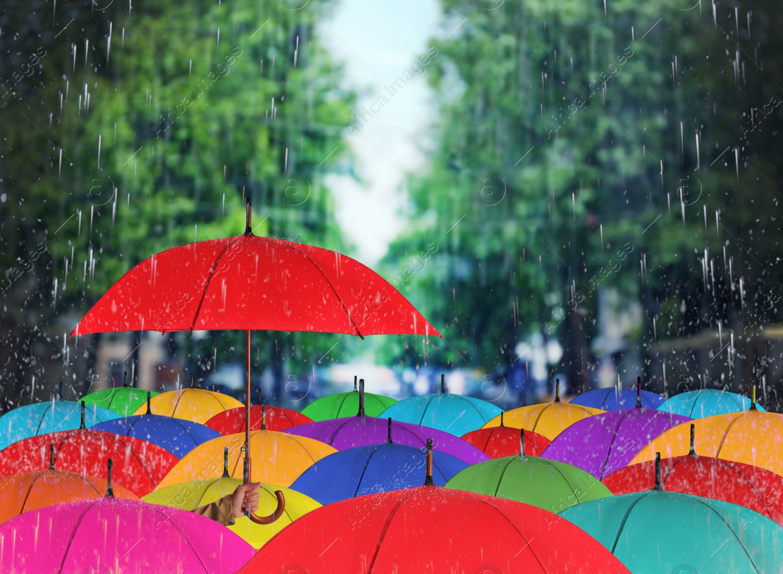 Image of Person holding umbrella over other under heavy rain outdoors 