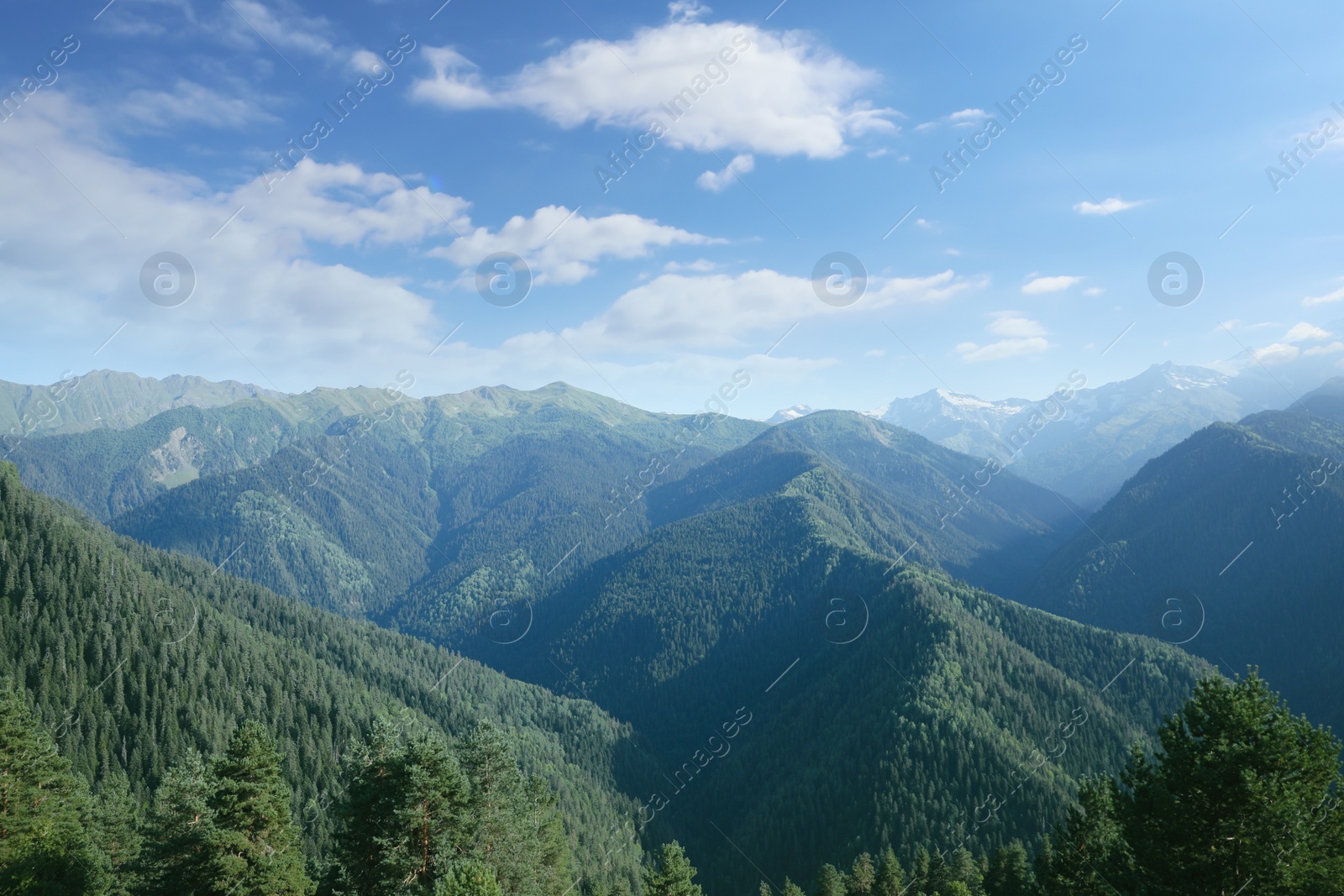 Photo of Aerial view of beautiful landscape with mountain forest on sunny day