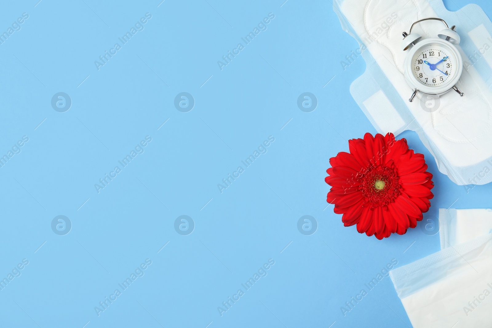 Photo of Flat lay composition with cotton pads, flower and space for text on light blue background. Gynecological care