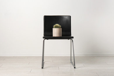 Photo of Chair with cactus near white wall. Hemorrhoids concept