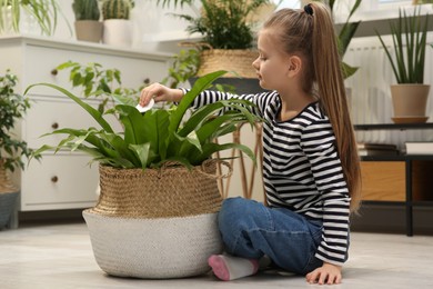 Cute girl wiping plant's leaves with cotton pad at home. House decor