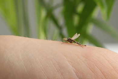 Photo of Mosquito on human's skin against blurred green background, closeup