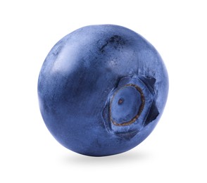 One ripe tasty blueberry isolated on white