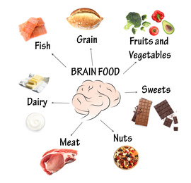 Set with different brain food on white background