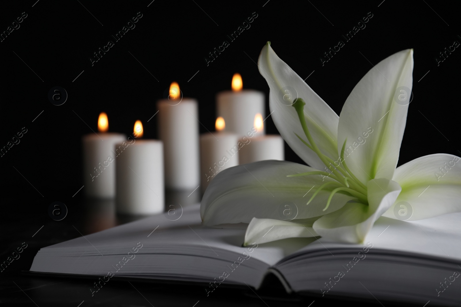 Photo of White lily, book and blurred burning candles on table in darkness, closeup with space for text. Funeral symbol