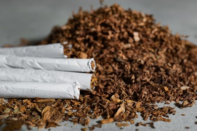 Heap of tobacco and hand rolled cigarettes on light grey table, closeup