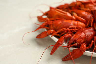 Delicious boiled crayfishes on light grey marble table, closeup. Space for text