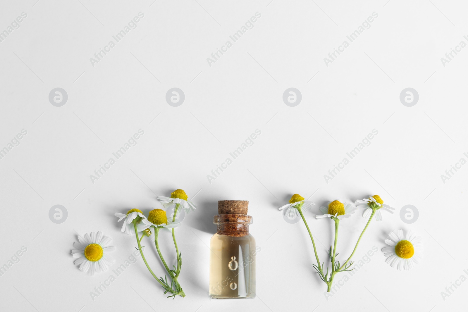 Photo of Flat lay composition with chamomile essential oil on white background. Space for text