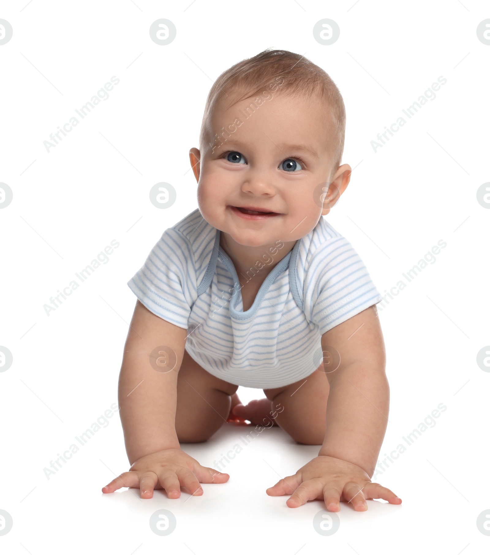 Photo of Cute little baby boy crawling on white background