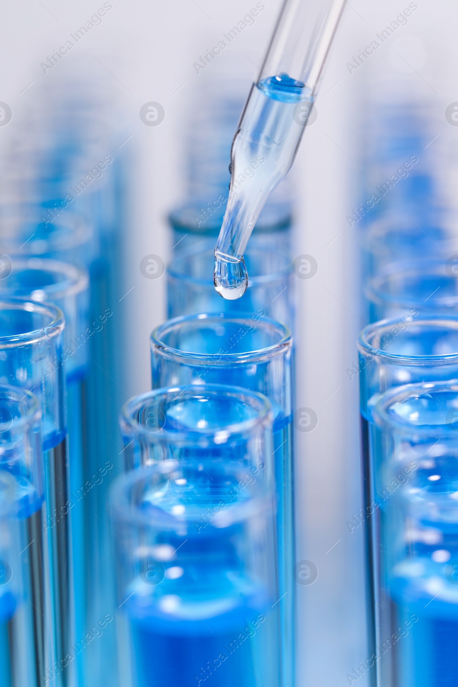 Photo of Dripping reagent into test tube with blue liquid on light background, closeup. Laboratory analysis