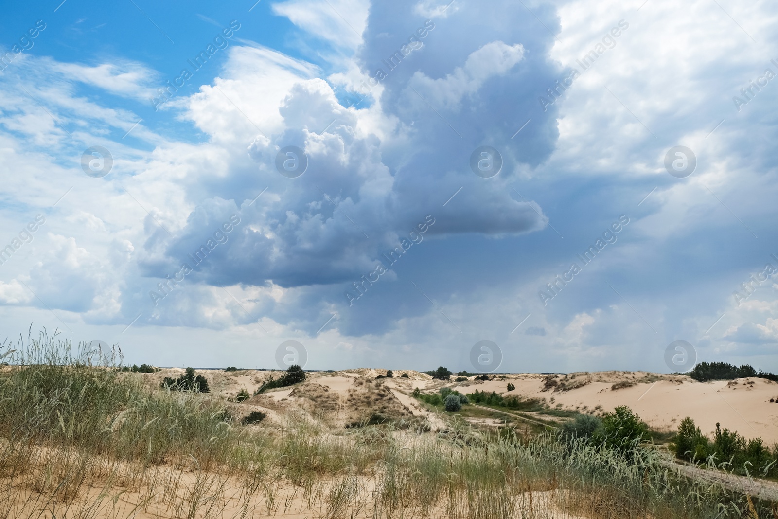 Photo of Picturesque landscape of desert with green grass and blue sky